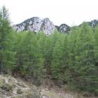 La salita, ora piu' dolce, e sullo sfondo la cima.