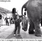 puo essere il futuro della scuola?!?!?! puo essere il futuro della scuola?!?!?!
