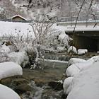 neve 24 novembre 2008