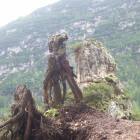 MOSTRO GUARDIABOSCHI