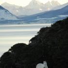 Ushuaia Webcam Ushuaia Webcam