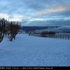Ushuaia Webcam
