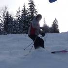 Titoski tra frasche e mirtilli Titoski tra frasche e mirtilli