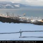 Ushuaia Webcam