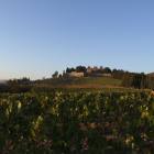 Castello di Brolio, tenuta dei Ricasoli ed ex dimonara di Bettino Ricasoli