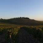 Tra Brolio e Pianella, le colline diventano dolci verso siena