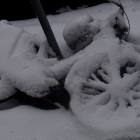 powderbike