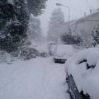 neve jesi neve jesi