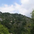 Morterone