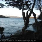 Ushuaia Webcam