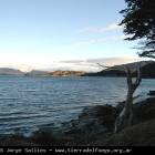 Ushuaia Webcam