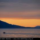 Ushuaia Webcam
