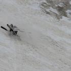 Sottobosco