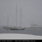 Ushuaia Webcam