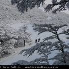 Ushuaia Webcam