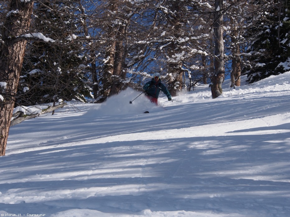 101559-foto.jpg