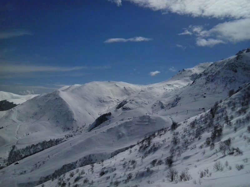 101958-2013-03-25-11.02.48.jpg