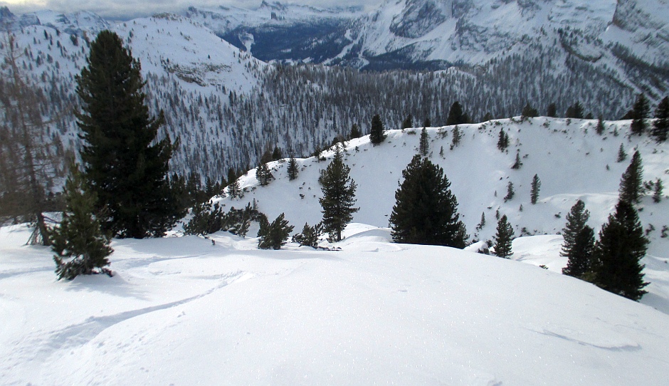 114641-nevefresca.jpg