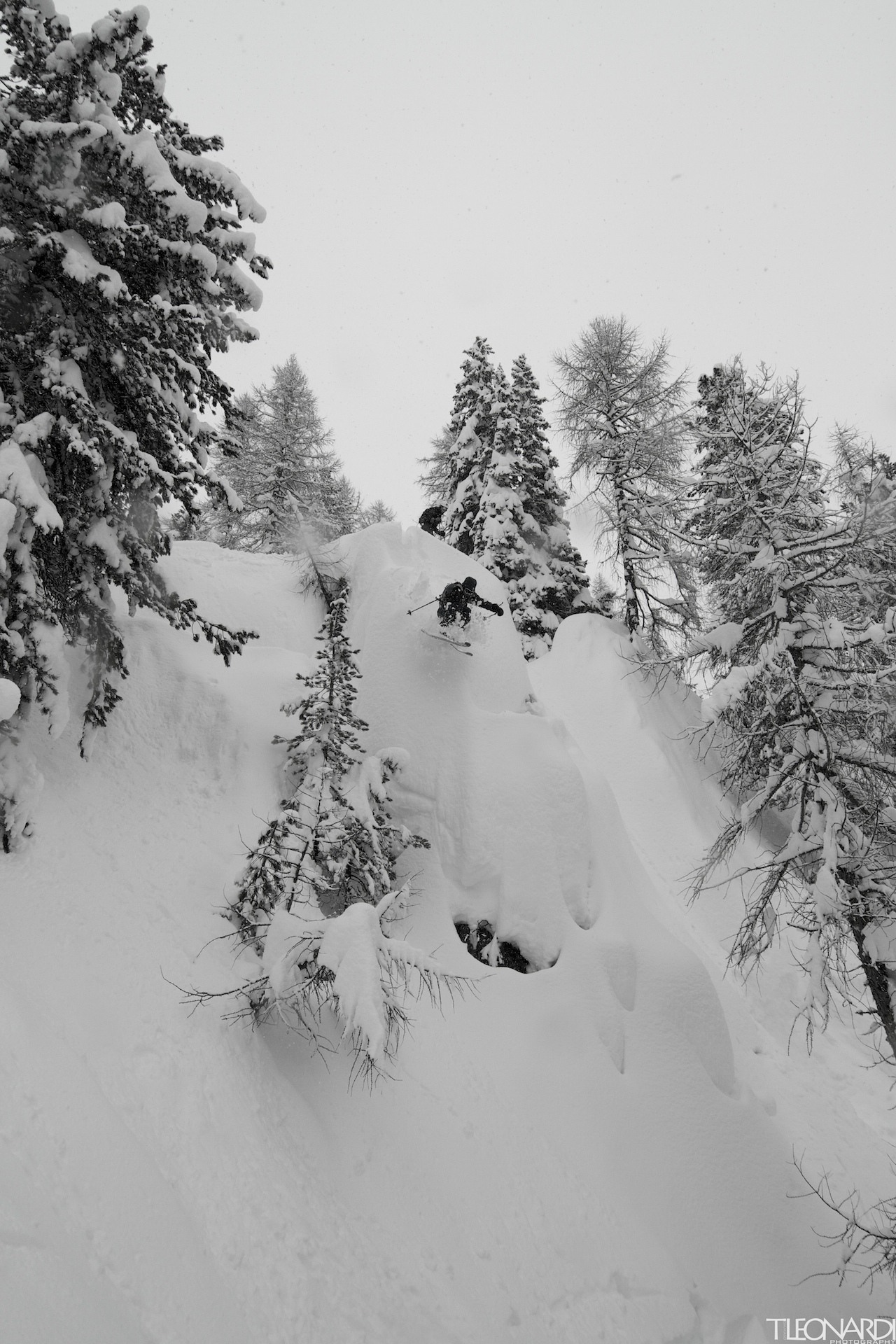 117934-tleonardi2013-2014-027.jpg