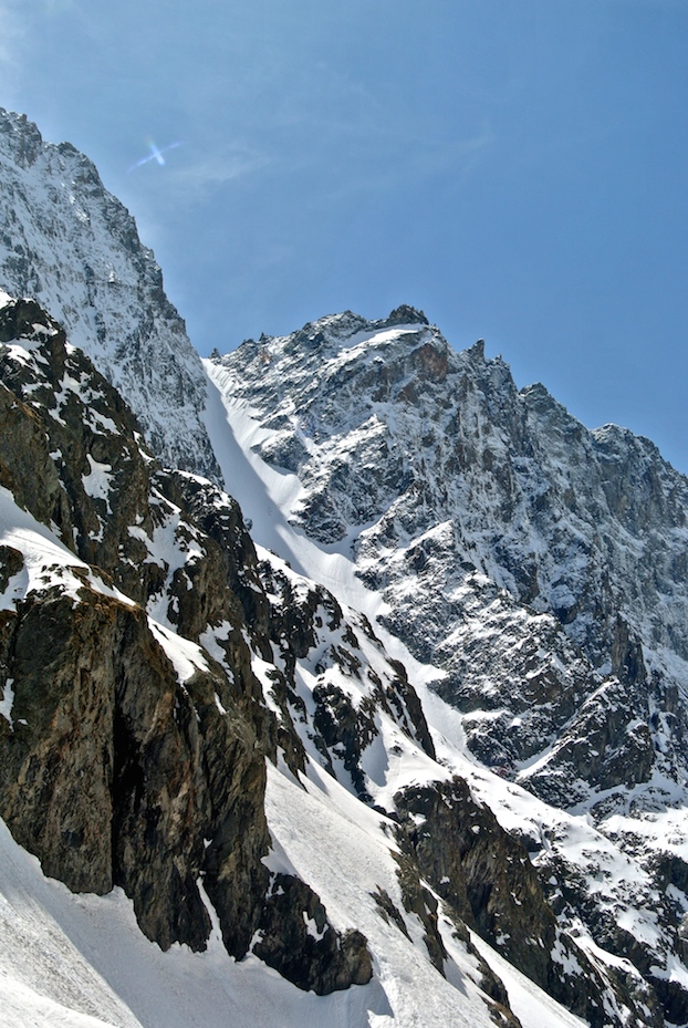 124727-faurio.jpg