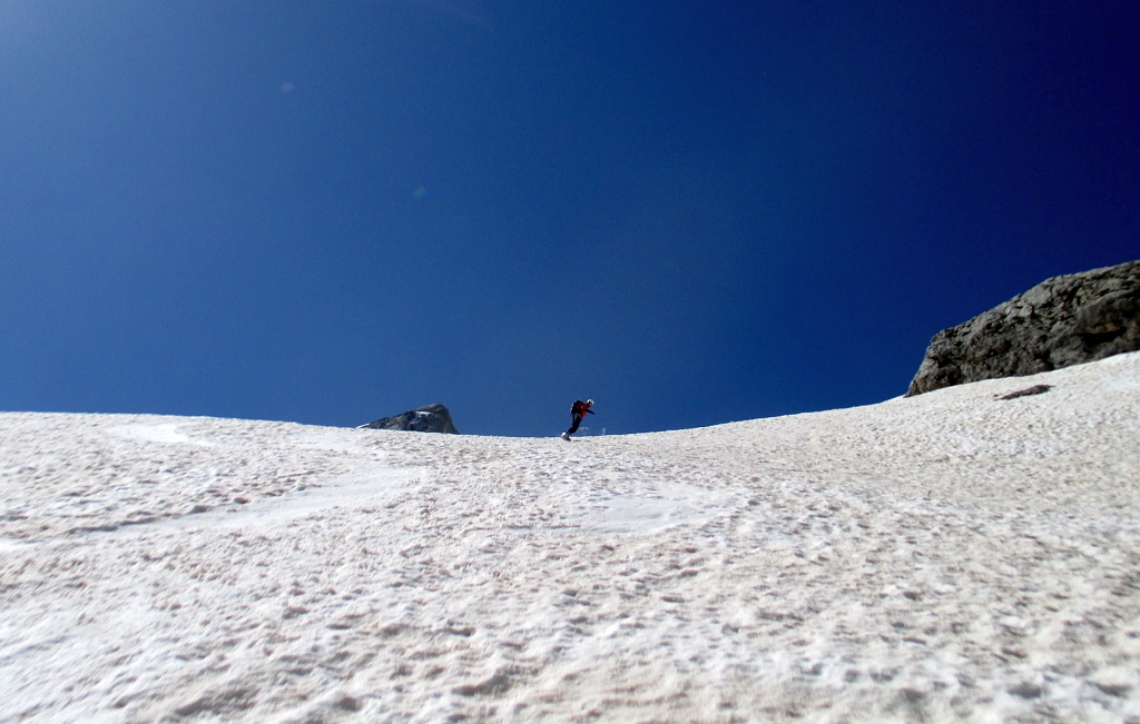 126756-angelo2.jpg