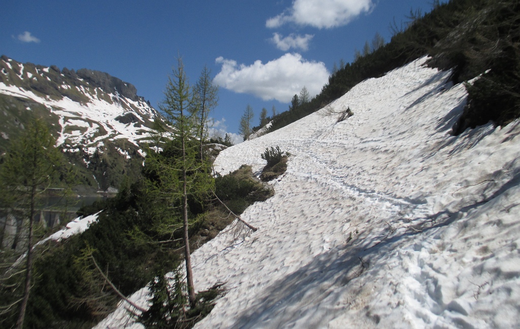126763-traverso-bousc.jpg