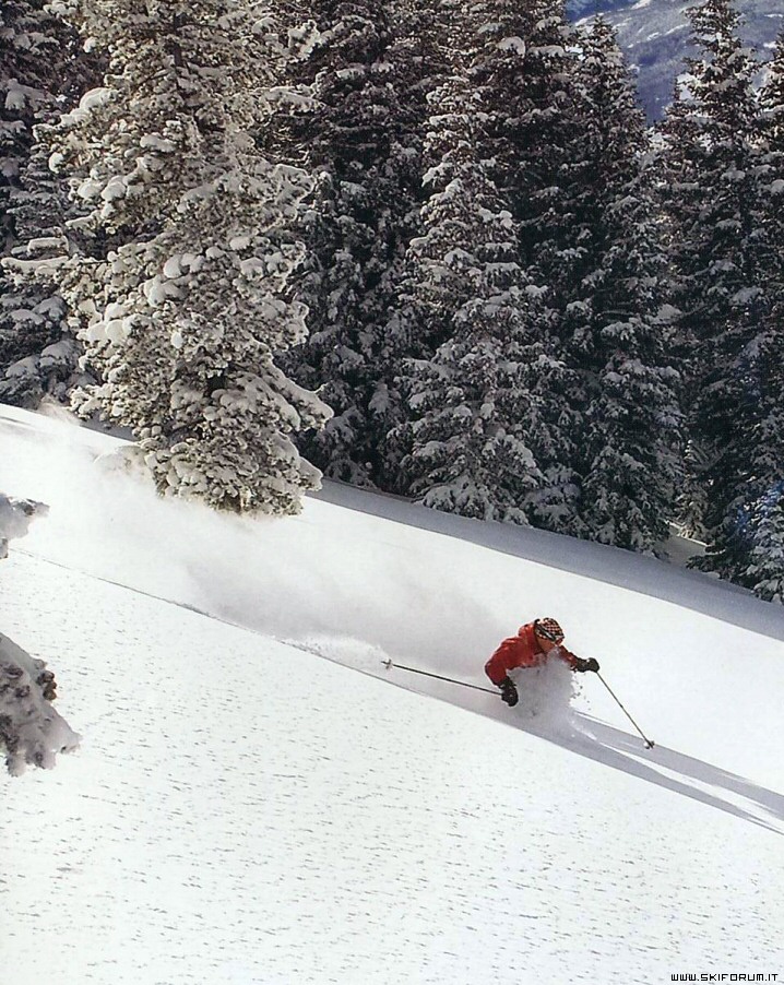 13678-powder-vail-colorado.jpg