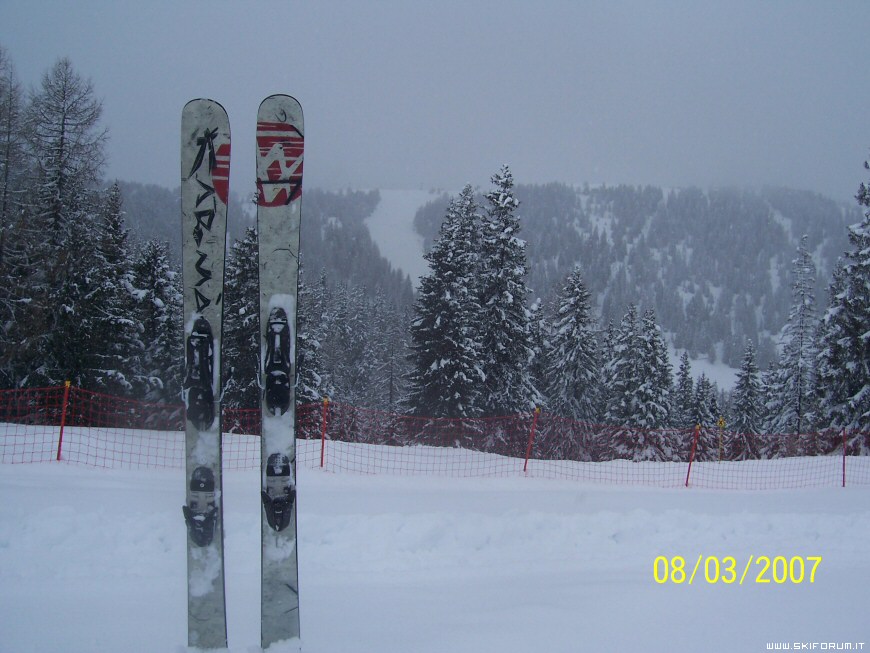 14026-boschetti-alta-badia-02.jpg