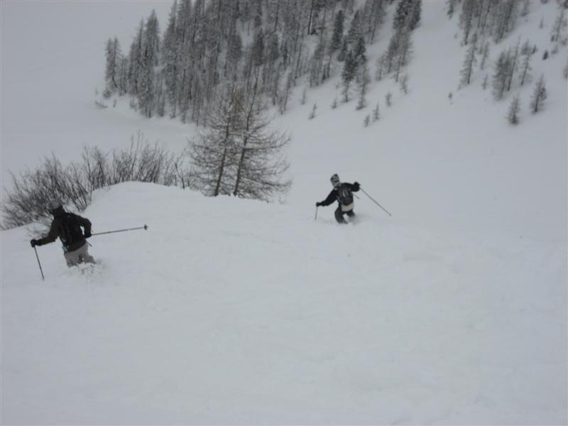 14399-img6957-medium.jpg