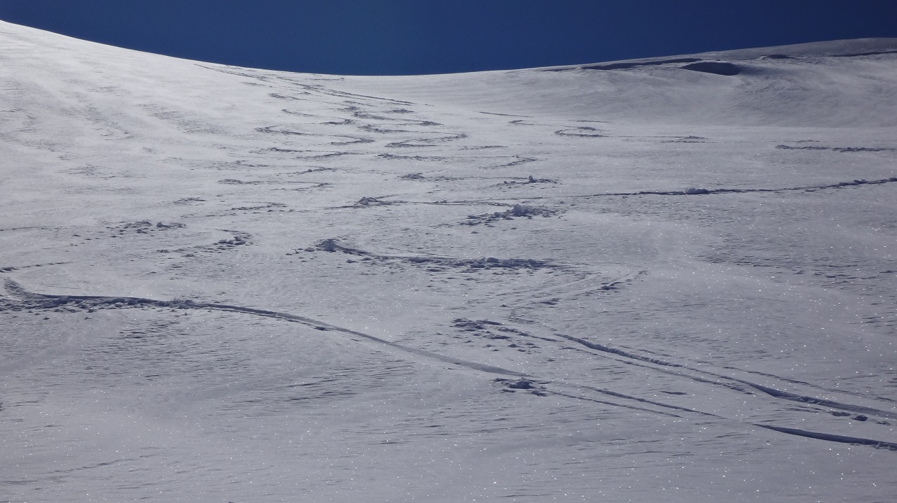 146282-breithorn-occidentale-030.jpg