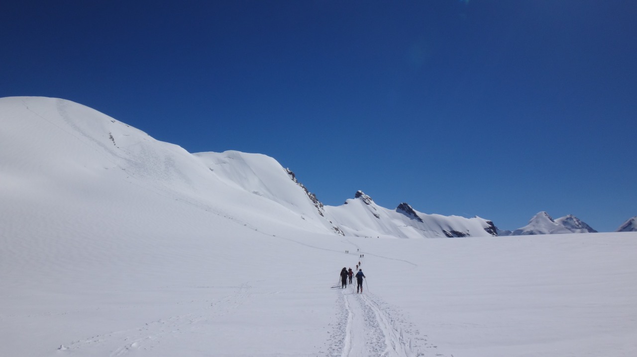 146286-breithorn-occidentale-051.jpg