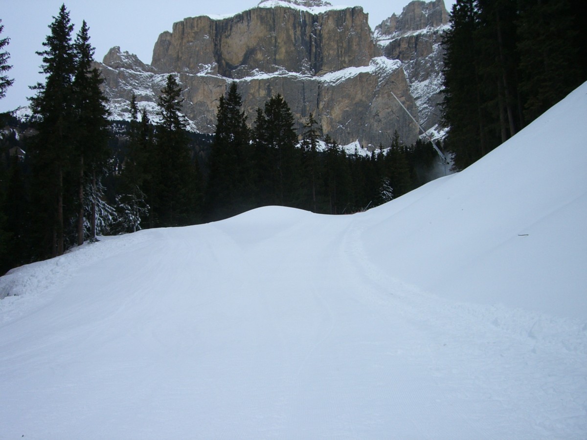 14921-cimg1701.jpg