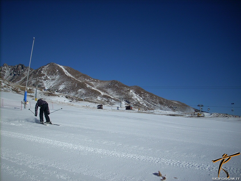 14949-freeskiers.jpg
