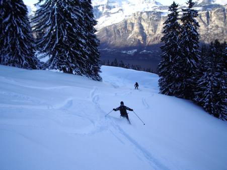 14953-skiforum1a.jpg