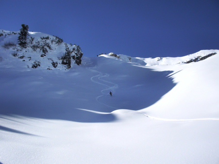 14955-skiforum-4a.jpg