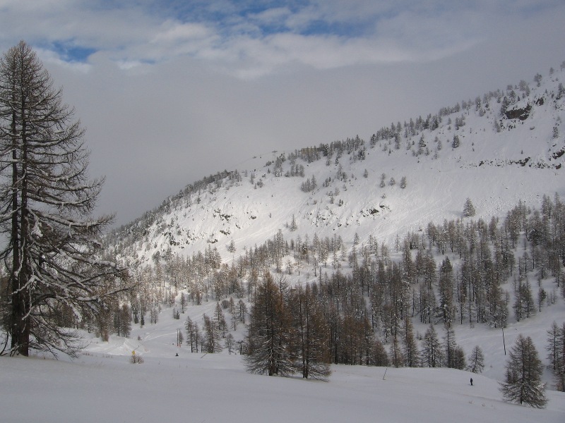 15132-img5792.jpg