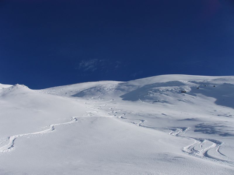 15340-pb260021.jpg