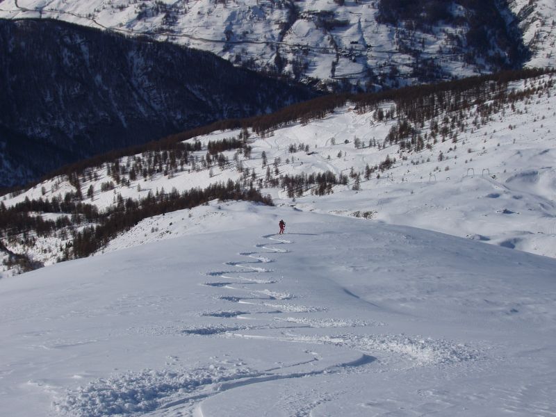 15341-pb260020.jpg