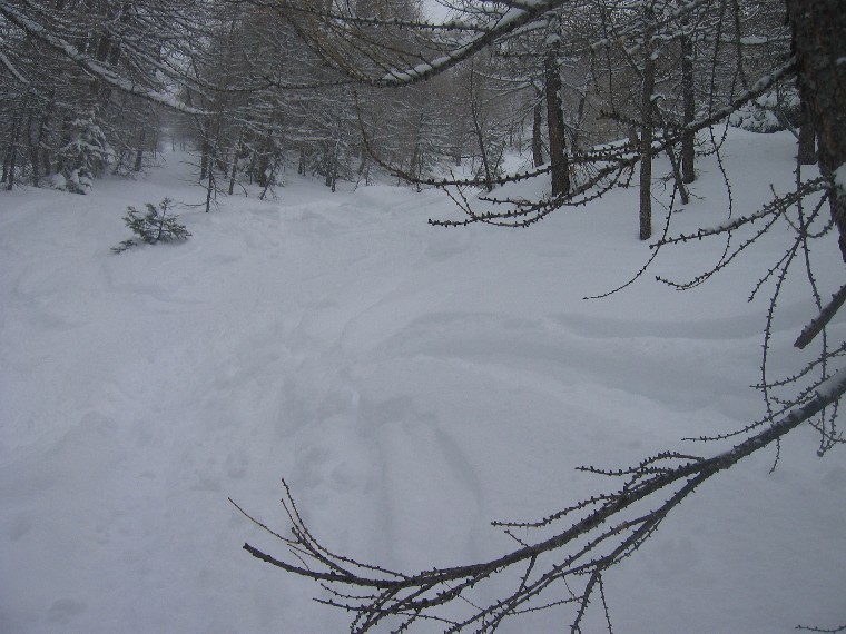 15655-img0020.jpg