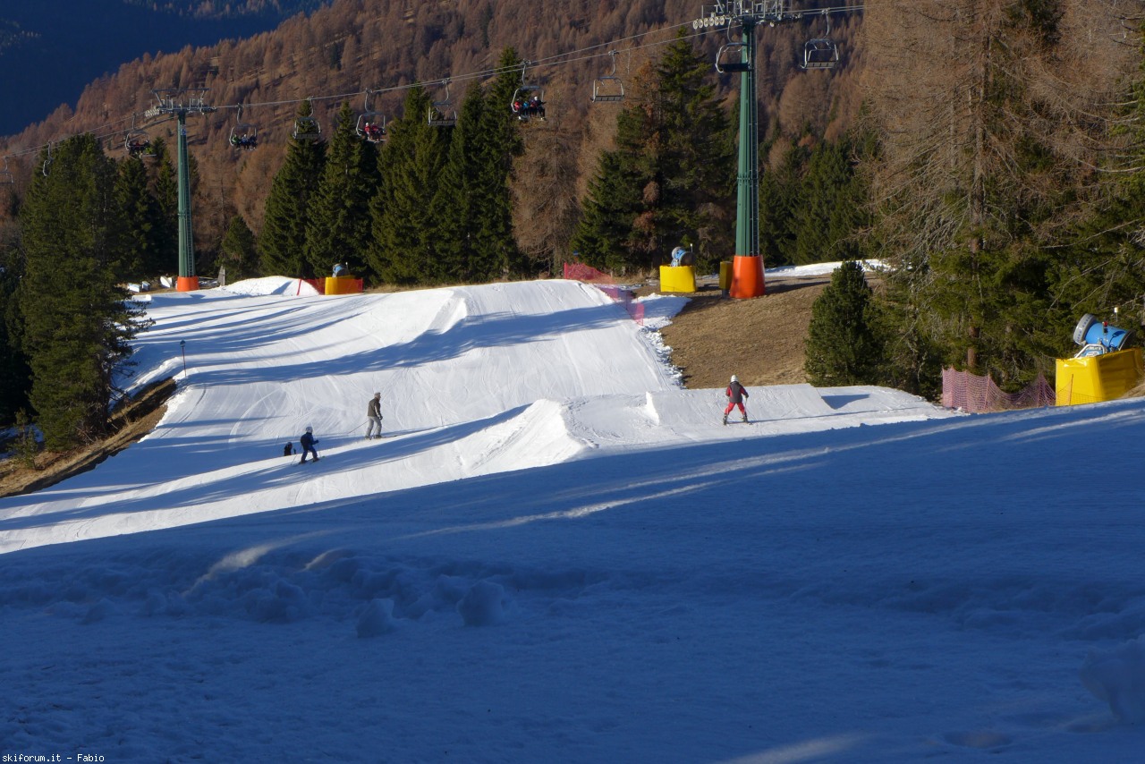 156610-p1170540.jpg