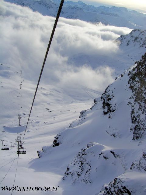 15825-orelle.jpg