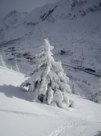 16396-imgp.jpg