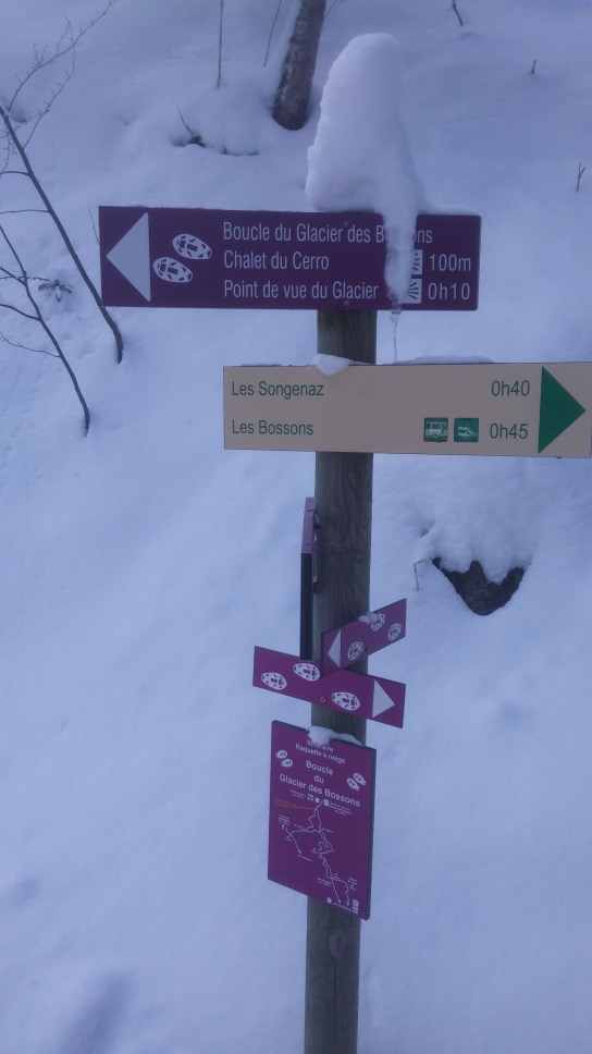 163967-couloir-des-cosmiques-7.3.2016-27.-looking-for-the-way-home.jpg