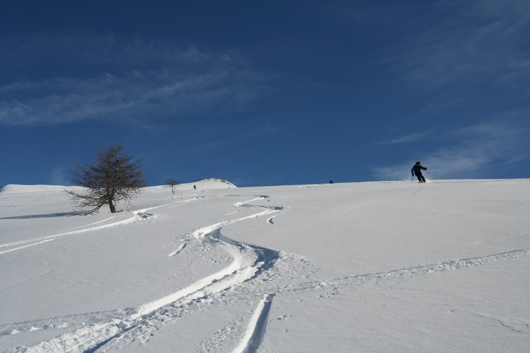 16603-zerbionfarina.jpg