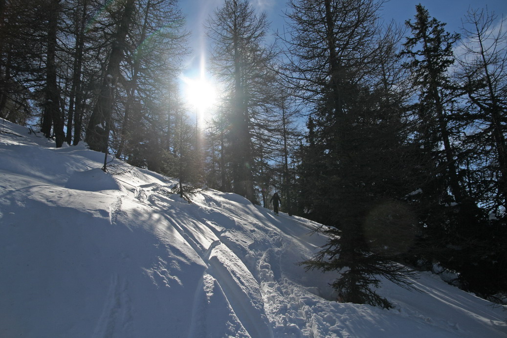 16607-zerbionboschetto.jpg