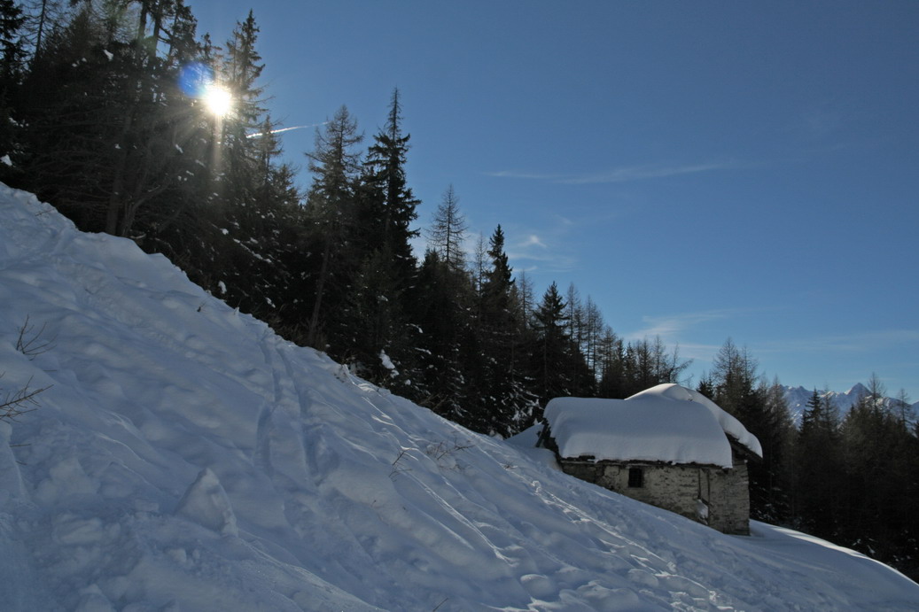 16608-zerbioncasetta.jpg