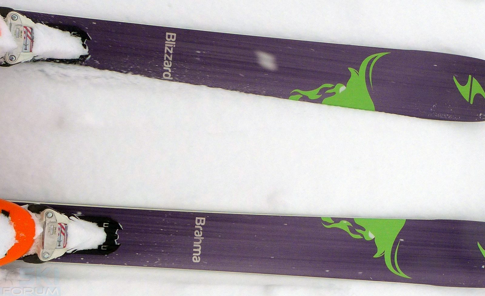 166495-foto-blizzard-brahma.jpg