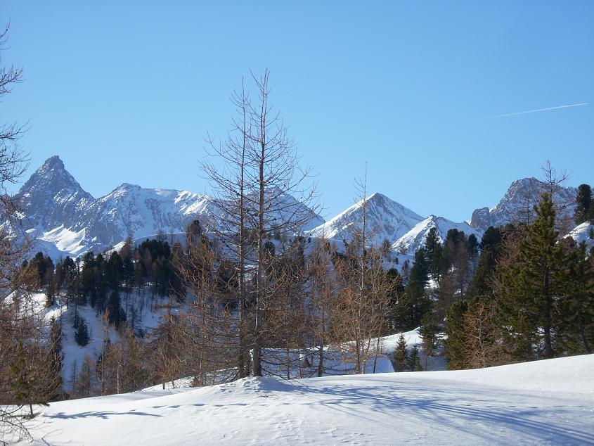 17175-mau1.jpg