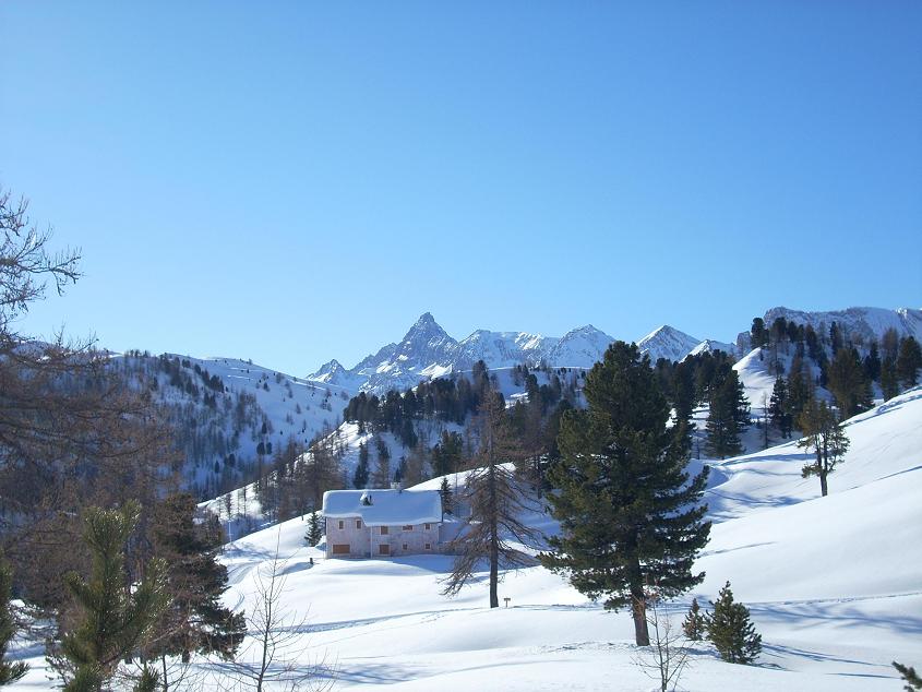 17177-mau2.jpg