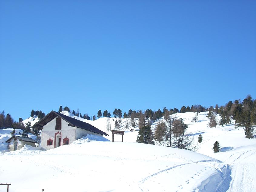 17188-mau7.jpg